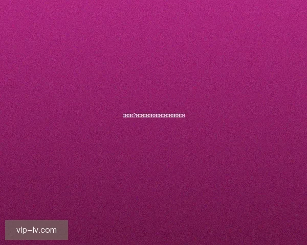 战国无双2跳帧补丁安装教程及优化效果解析详细指南